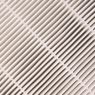 Oval Air Filter