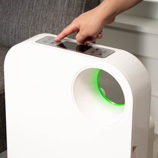 Oval Air Purifier