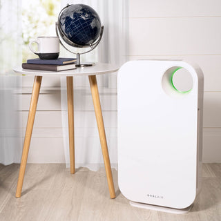 OVALAIR Air Purifier & 3 Filters Bundle