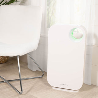 Oval Air Purifier