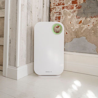 Oval Air Purifier