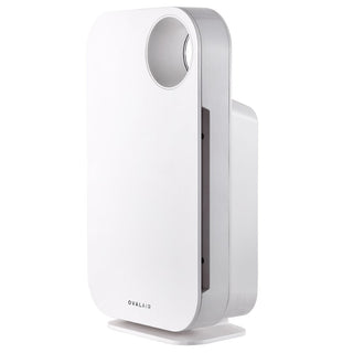 Oval Air Purifier