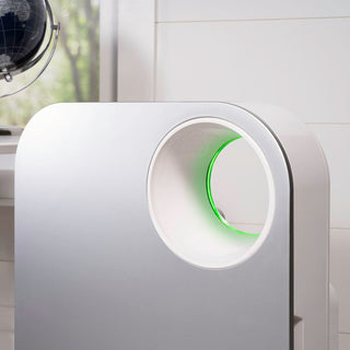 Oval Air Purifier