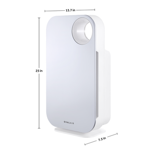 Oval Air Purifier