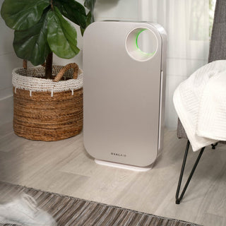 Oval Air Purifier