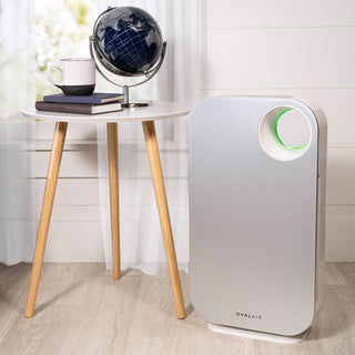 Oval Air Purifier