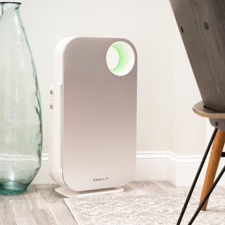 Oval Air Purifier