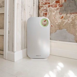 Oval Air Purifier