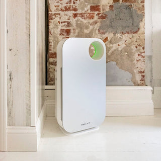 Oval Air Purifier