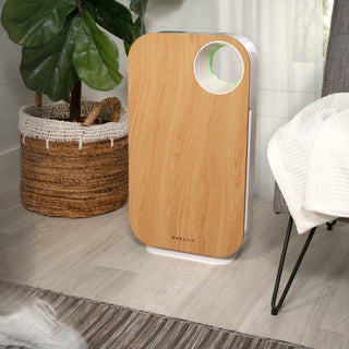 Oval Air Purifier