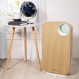 Oval Air Purifier