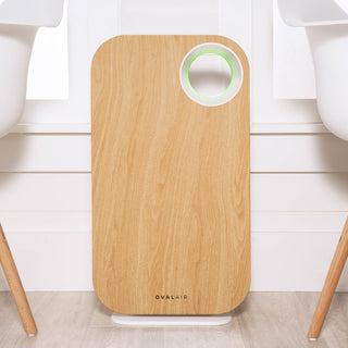 Oval Air Purifier