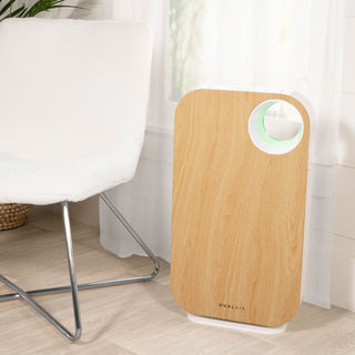 Oval Air Purifier