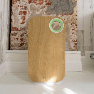 Oval Air Purifier