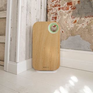 Oval Air Purifier