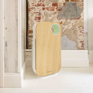 Oval Air Purifier