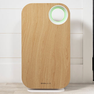 Oval Air Purifier