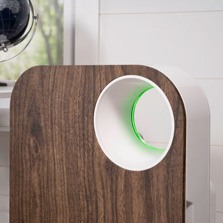 Oval Air Purifier