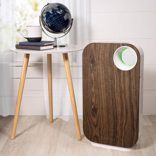 Oval Air Purifier