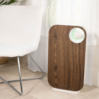 Oval Air Purifier