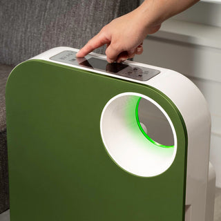 Oval Air Purifier