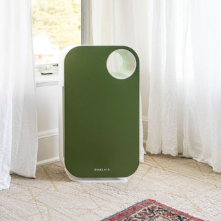 Oval Air Purifier