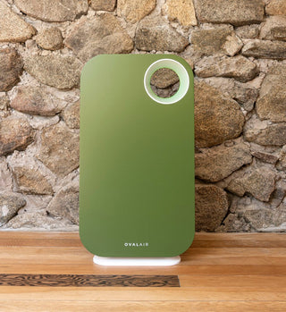 Oval Air Purifier