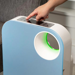 Oval Air Purifier