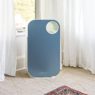 Oval Air Purifier