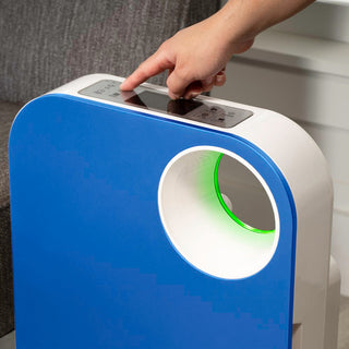 Oval Air Purifier