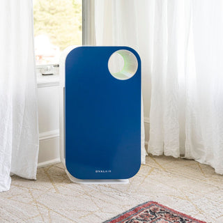 Oval Air Purifier