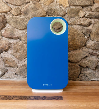 Oval Air Purifier