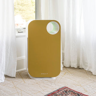 Oval Air Purifier