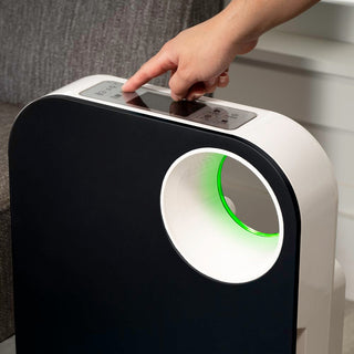 Oval Air Purifier