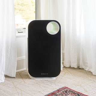 Oval Air Purifier