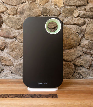 Oval Air Purifier