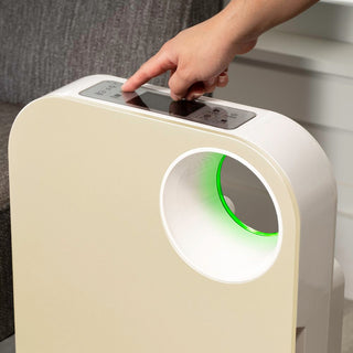 Oval Air Purifier