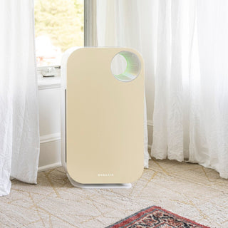 Oval Air Purifier