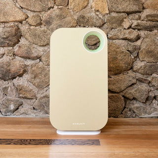 Oval Air Purifier