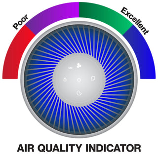 OVAL AIR H13 True HEPA Filter