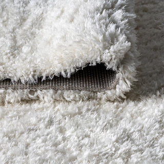 Ternate Aydin Solid Plush Shag Area Rug