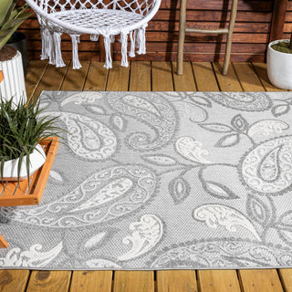 Auckland Julien Paisley High-Low Indoor/Outdoor Area Rug