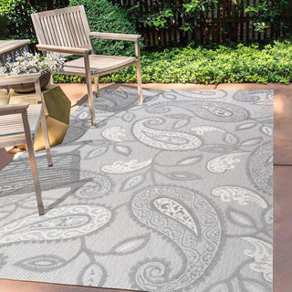 Auckland Julien Paisley High-Low Indoor/Outdoor Area Rug