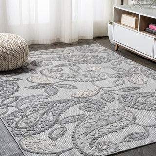 Auckland Julien Paisley High-Low Indoor/Outdoor Area Rug