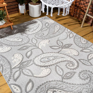 Auckland Julien Paisley High-Low Indoor/Outdoor Area Rug