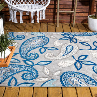 Auckland Julien Paisley High-Low Indoor/Outdoor Area Rug