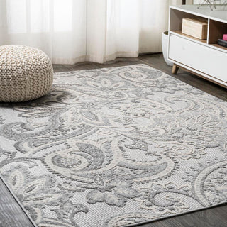 Christchurch Gordes Paisley High-Low Indoor/Outdoor Area Rug