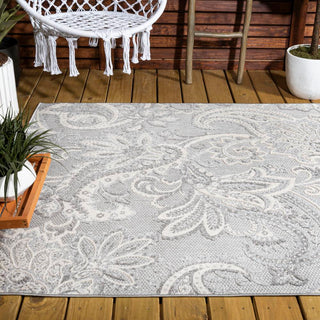 Christchurch Gordes Paisley High-Low Indoor/Outdoor Area Rug