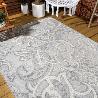 Christchurch Gordes Paisley High-Low Indoor/Outdoor Area Rug