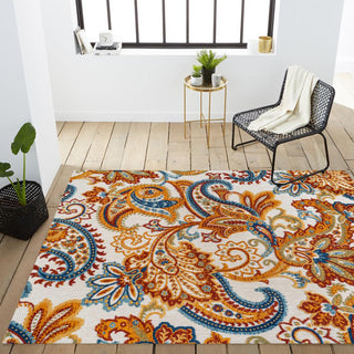 Christchurch Gordes Paisley High-Low Indoor/Outdoor Area Rug